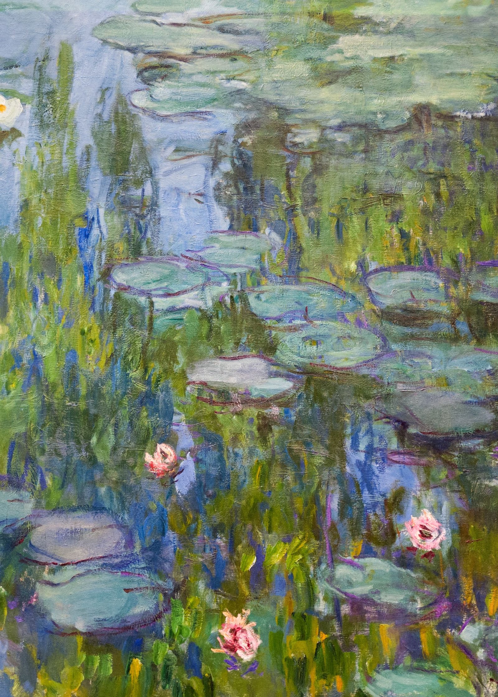 Claude Monet's Water Lilies