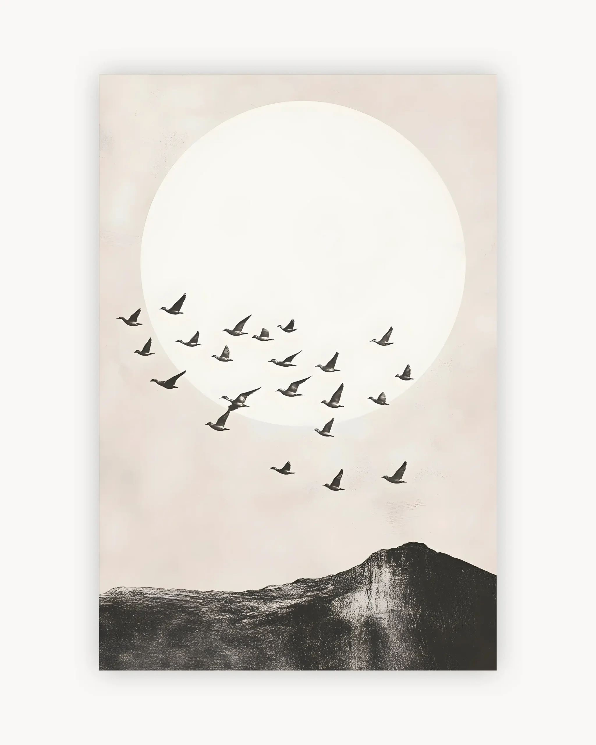 Birds Soaring