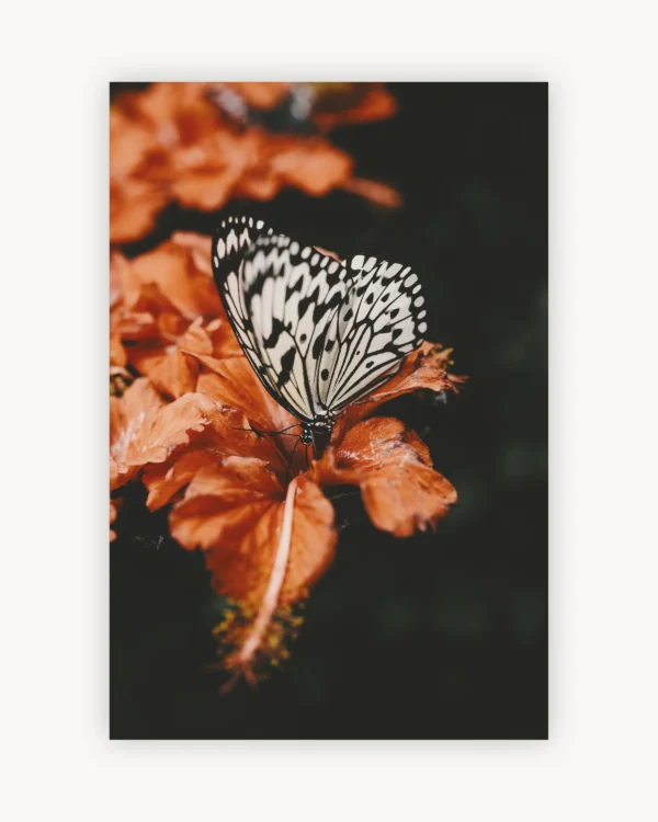 Floral Butterfly
