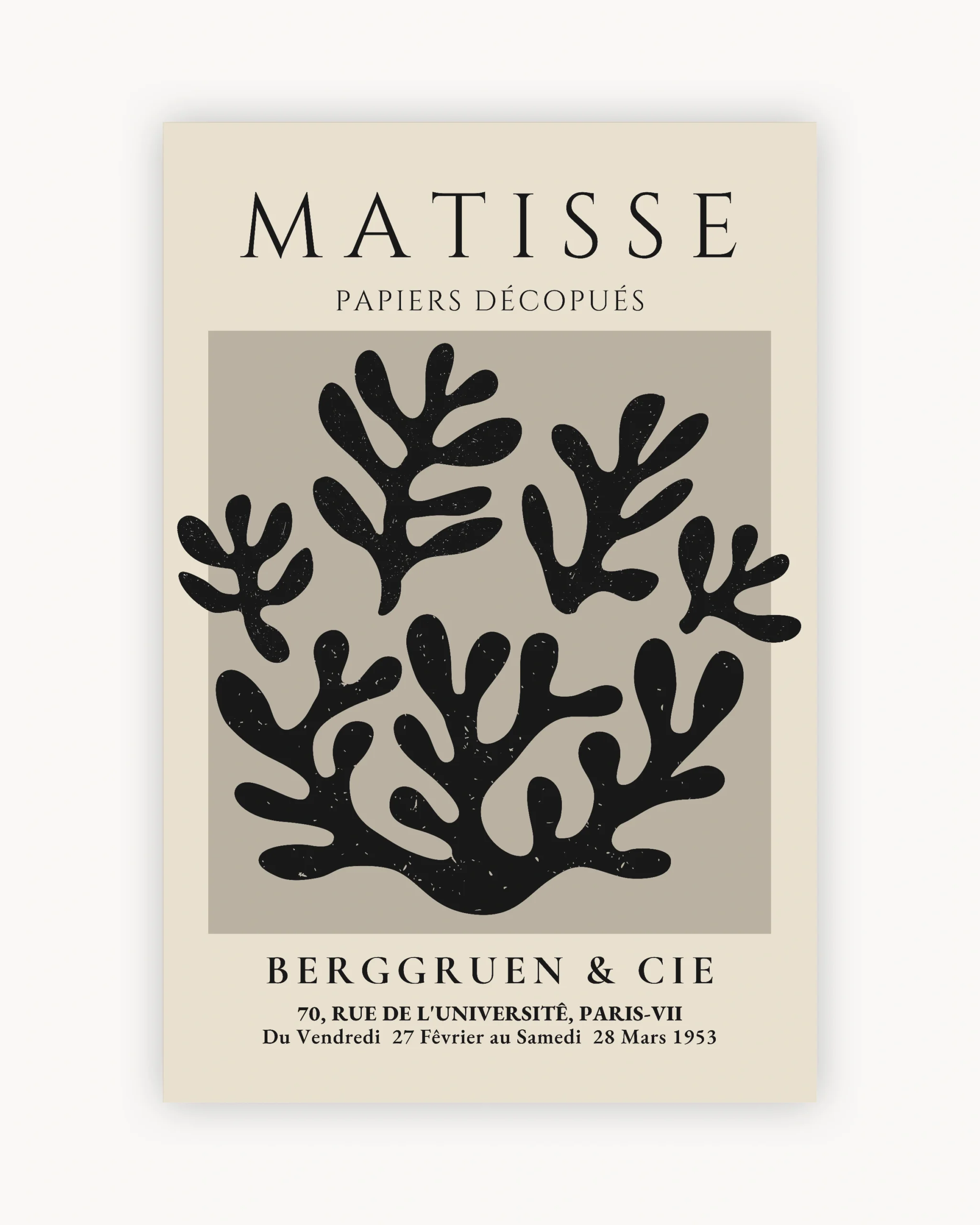 Matisse Black