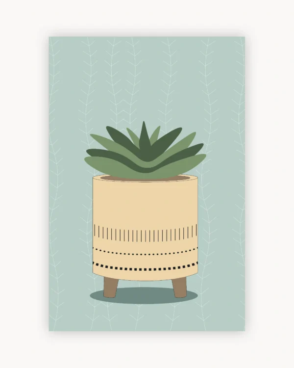 Potted Succulent