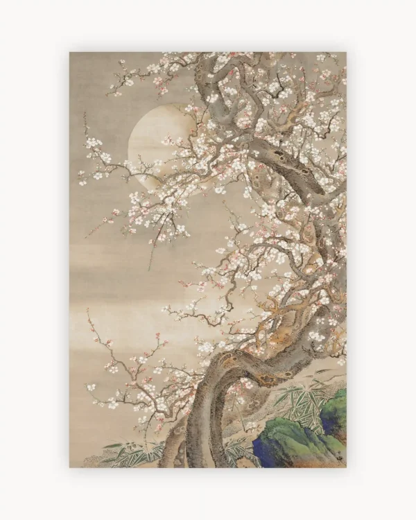 Quiet Blossoms Fall