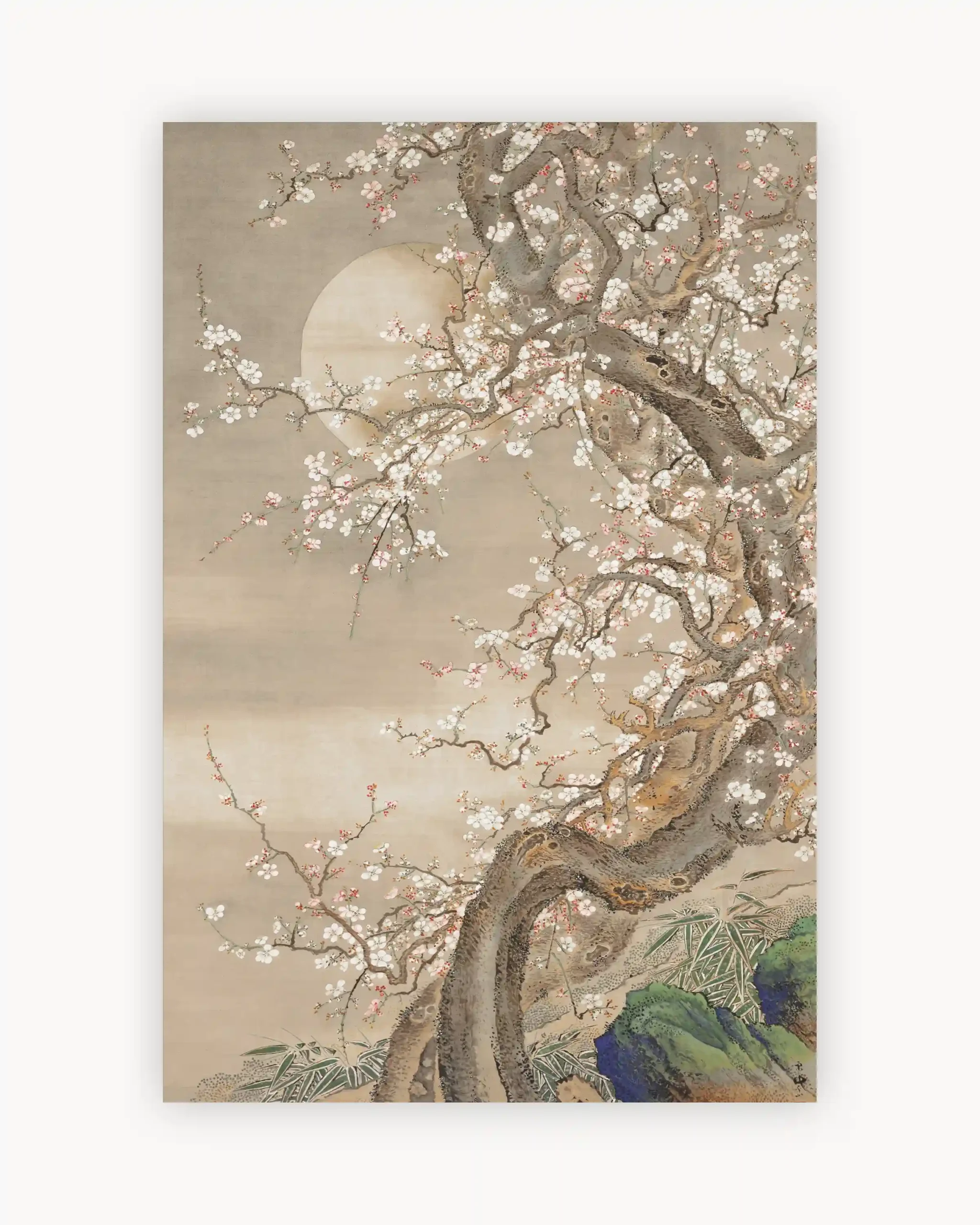 Quiet Blossoms Fall