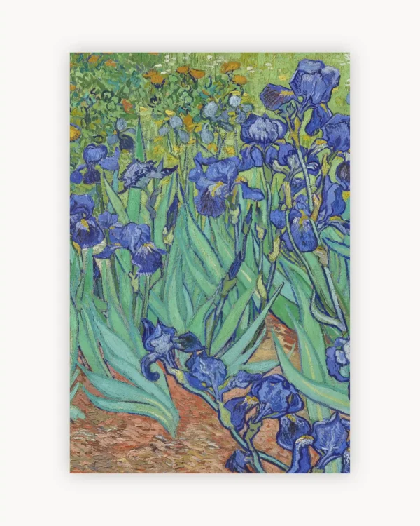 Vincent Van Gogh's Irises