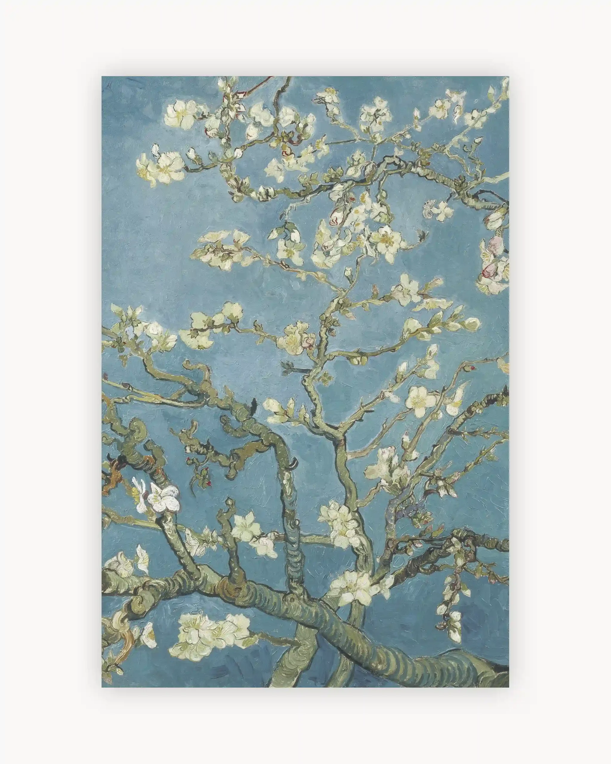 Vincent van Gogh's Almond Blossom