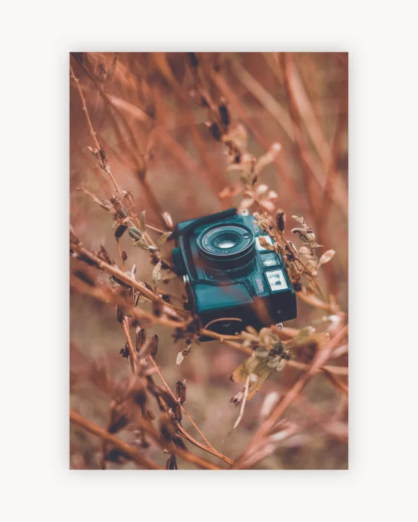 Vintage Camera