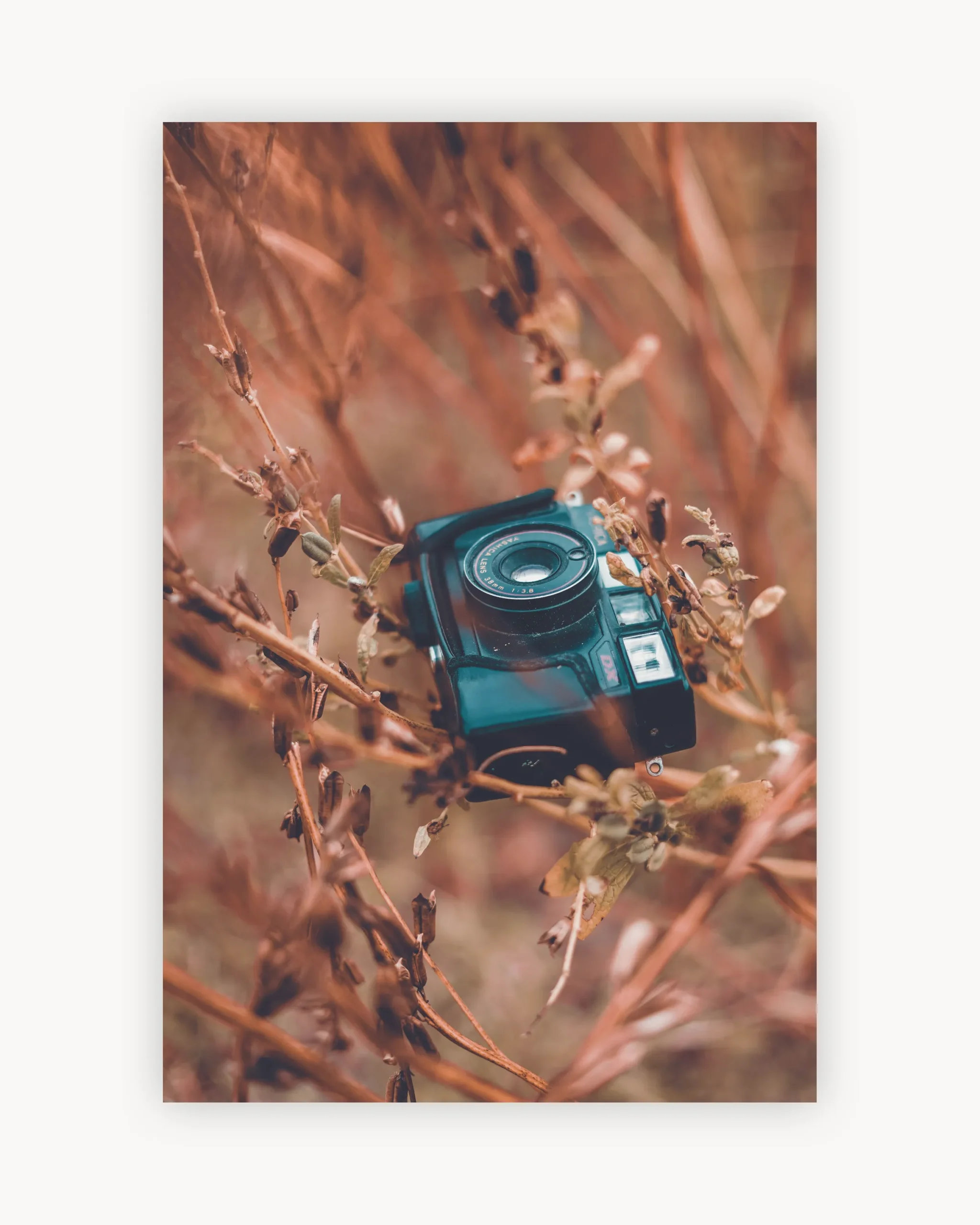 Vintage Camera