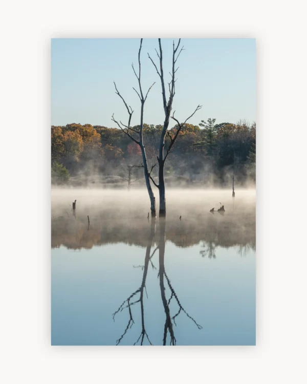 Mirrored Solitude