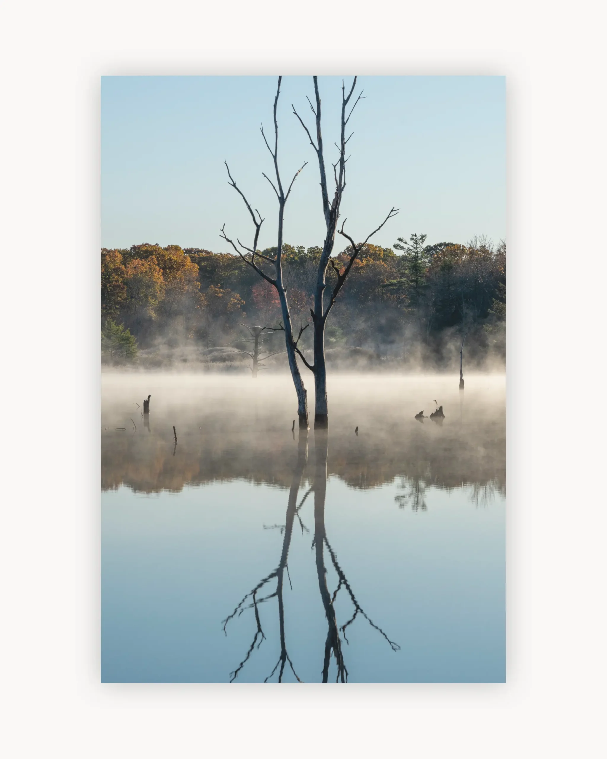 Mirrored Solitude